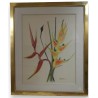 Aquarelle Fleurs "Heliconia" signée  sur Moinat SA  - Antiquités décoration -  Gouaches, Aquarelles, Pastels