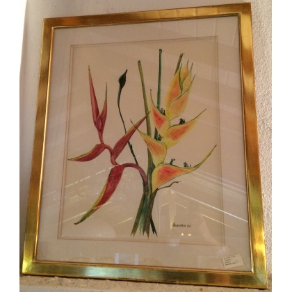 Aquarelle Fleurs "Heliconia" signée  sur Moinat SA  - Antiquités décoration -  Gouaches, Aquarelles, Pastels