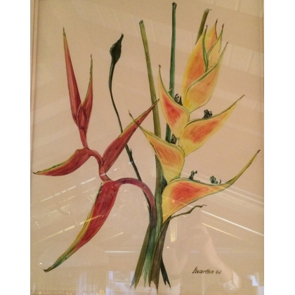 Aquarelle Fleurs "Heliconia" signée  sur Moinat SA  - Antiquités décoration -  Gouaches, Aquarelles, Pastels