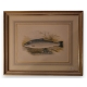 Gravure rehaussée à l'aquarelle "salmon trout"