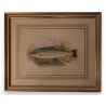 Gravure rehaussée à l'aquarelle "salmon trout"