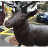 Cerf taille nature en bronze