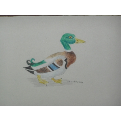  Dessin "Canard colvert" signé Jo sur  Moinat SA  - Antiquités décoration