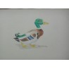  Dessin "Canard colvert" signé Jo sur  Moinat SA  - Antiquités décoration