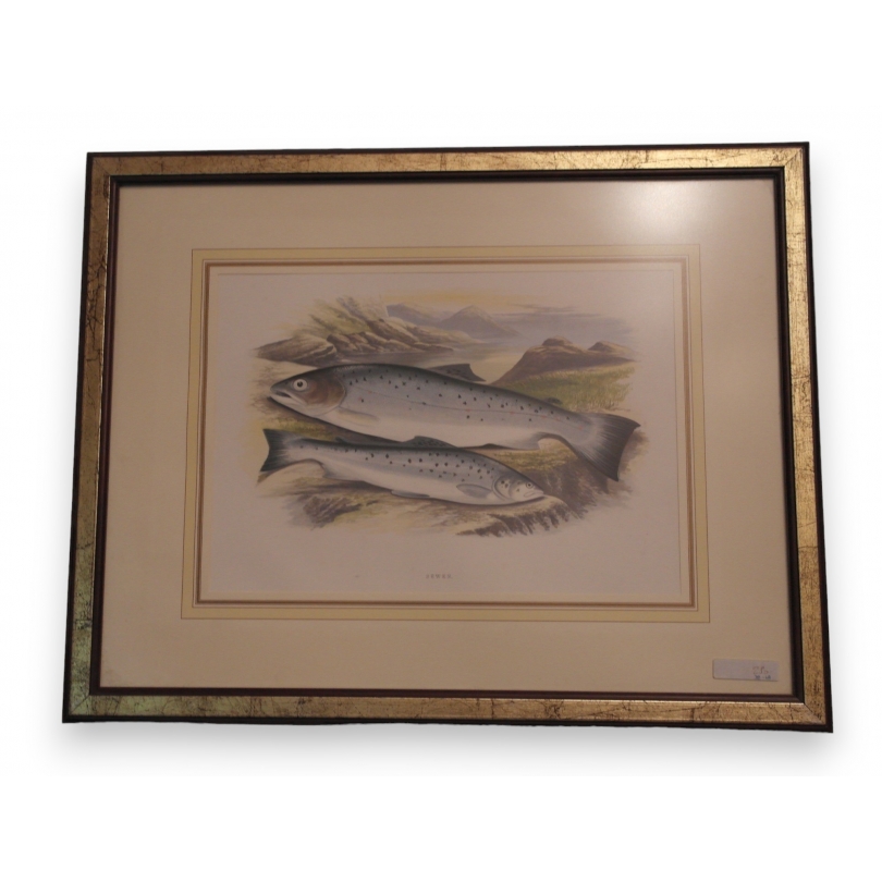 Gravure rehaussée à l'aquarelle "Sewen"  sur Moinat SA  - Antiquités décoration -  Gouaches, Aquarelles, Pastels