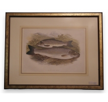 Gravure rehaussée à l'aquarelle "black