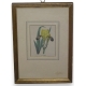 Gravure "Iris variegata"