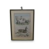 Engraving ‘Sheep and Chamois’ by Moinat SA – Antiques and decorative items – Engravings, lithographs