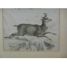 Engraving ‘Sheep and Chamois’ by Moinat SA – Antiques and decorative items – Engravings, lithographs