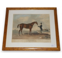 Gravure "St. Giles. Winner of the Derby"