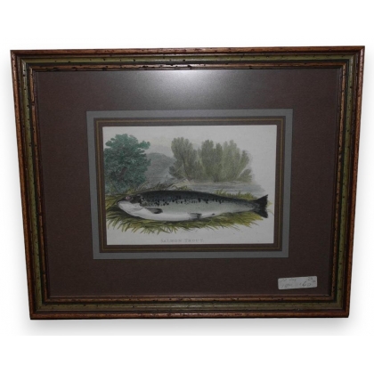 "Salmon trout" engraving by Moinat SA – Antiques and decorative items – Engravings, lithographs