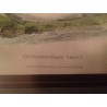 Gravure "Extraordinary Trout"  sur Moinat SA  - Antiquités décoration -  Gravures, Lithos