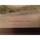 Gravure "Extraordinary Trout"