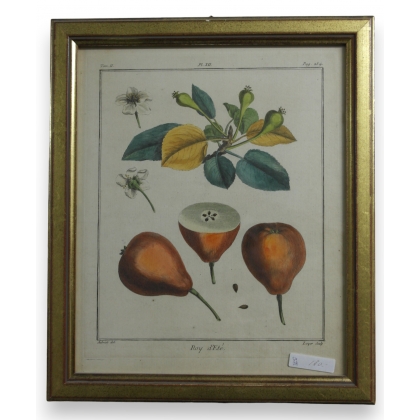 Engraving ‘Roy d’été’ by AUBRIET on Moinat SA – Antiques and decorative items – Engravings, lithographs