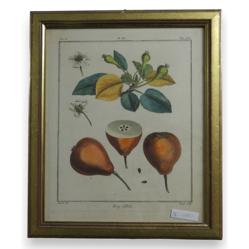 Gravure "Roy d'été" de AUBRIET  sur Moinat SA  - Antiquités décoration -  Gravures, Lithos