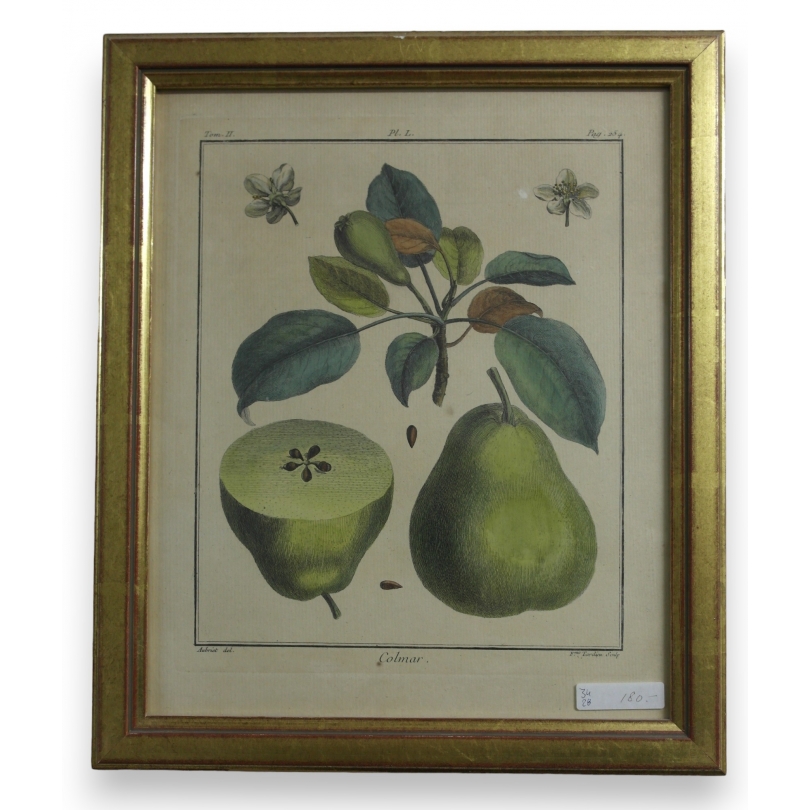 Engraving ‘Colmar’ by AUBRIET on Moinat SA – Antiques and decorative items – Engravings, lithographs
