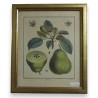 Engraving ‘Colmar’ by AUBRIET on Moinat SA – Antiques and decorative items – Engravings, lithographs