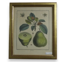 Gravure "Colmar"de AUBRIET