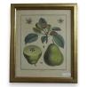 Gravure "Colmar"de AUBRIET