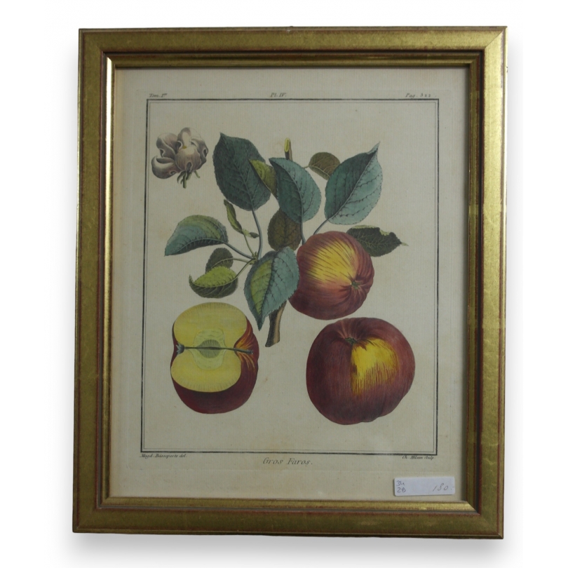 Gravure "Gros Faros" de BASSEPORTE  sur Moinat SA  - Antiquités décoration -  Gravures, Lithos