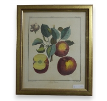 Gravure "Gros Faros" de BASSEPORTE