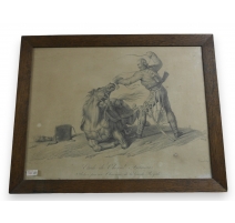 Gravure " Etude de cheval Français