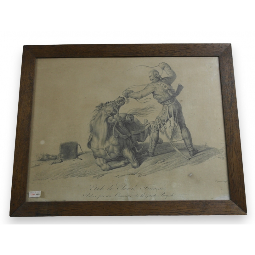Gravure " Etude de cheval Français