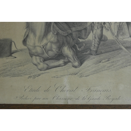 Gravure " Etude de cheval Français,  sur Moinat SA  - Antiquités décoration -  Gravures, Lithos