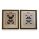 Paire de gravures "papillons"