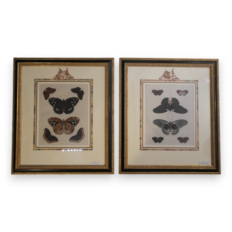 Paire de gravures "papillons"