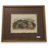 Gravure "Raies"  sur Moinat SA  - Antiquités décoration -  Gravures, Lithos