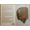 Svenskt Glas glass hedgehog, signed ‘P.’, from Moinat SA – Antiques and home décor