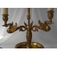 Lampe bouillotte "Col de cygne"