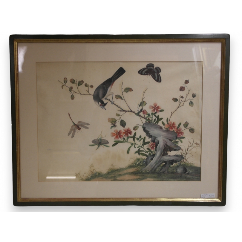 Gouache "Oiseau et insectes", Chine