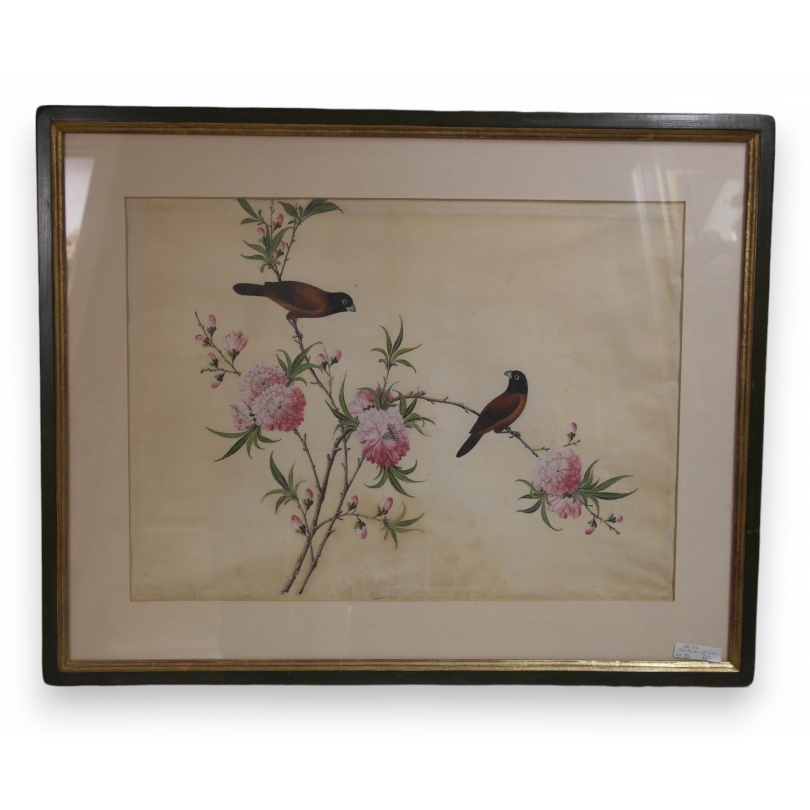Paintings | Gouache ‘Pair of Birds’, China, Moinat SA  – Antiques and decorative items