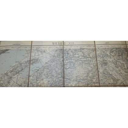 Topographical map of Switzerland (Map by Moinat SA – Antiques and Decor)