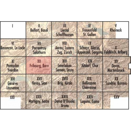 Topographical map of Switzerland (Map by Moinat SA – Antiques and Decor)