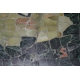 Plateau mosaïque "poissons" de STAEBLER