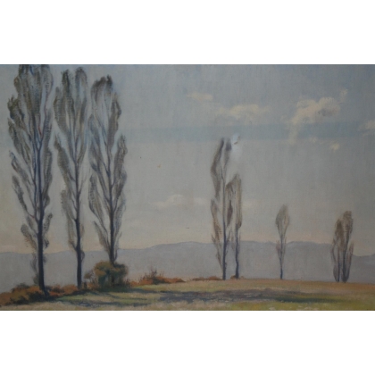 Huile sur toile \"vue du Salève\" signée A. MILSONI