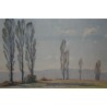 Peintures | Huile sur toile "vue du Salève" signée Moinat SA  - Antiquités décoration