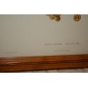 Engraving of ‘White Malvoisie’ grapes by Moinat SA – Antiques and decorative items – Engravings, lithographs