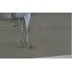 Aquarelle "Cheval".