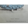 Fashion engraving ‘Ball dress’ by La Belle, published by Moinat SA – Antiques and decorative items – Engravings, lithographs