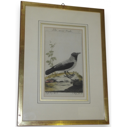 Gravure "Die graue Krebe"  sur Moinat SA  - Antiquités décoration -  Gravures, Lithos