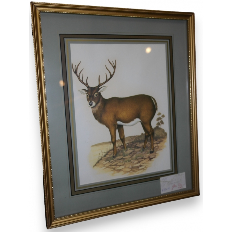 Coloured engraving ‘Deer’ by Moinat SA – Antiques and decorative items – Engravings, lithographs