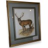 Coloured engraving ‘Deer’ by Moinat SA – Antiques and decorative items – Engravings, lithographs