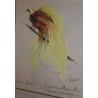  Dessin "Oiseau du Paradis" signé D sur  Moinat SA  - Antiquités décoration