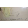  Dessin "Oiseau du Paradis" signé D sur  Moinat SA  - Antiquités décoration