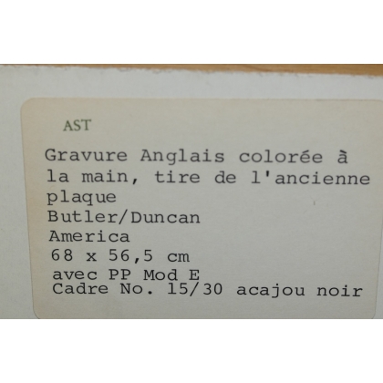 Gravure anglaise coloriée à la main  sur Moinat SA  - Antiquités décoration -  Gravures, Lithos