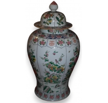 Globe de papillons "Lexias pardalis jadeitina"